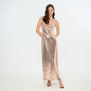 Dull Gold Sequin Long Party Dress