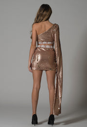 One Shoulder Golden Sequin Dress Set